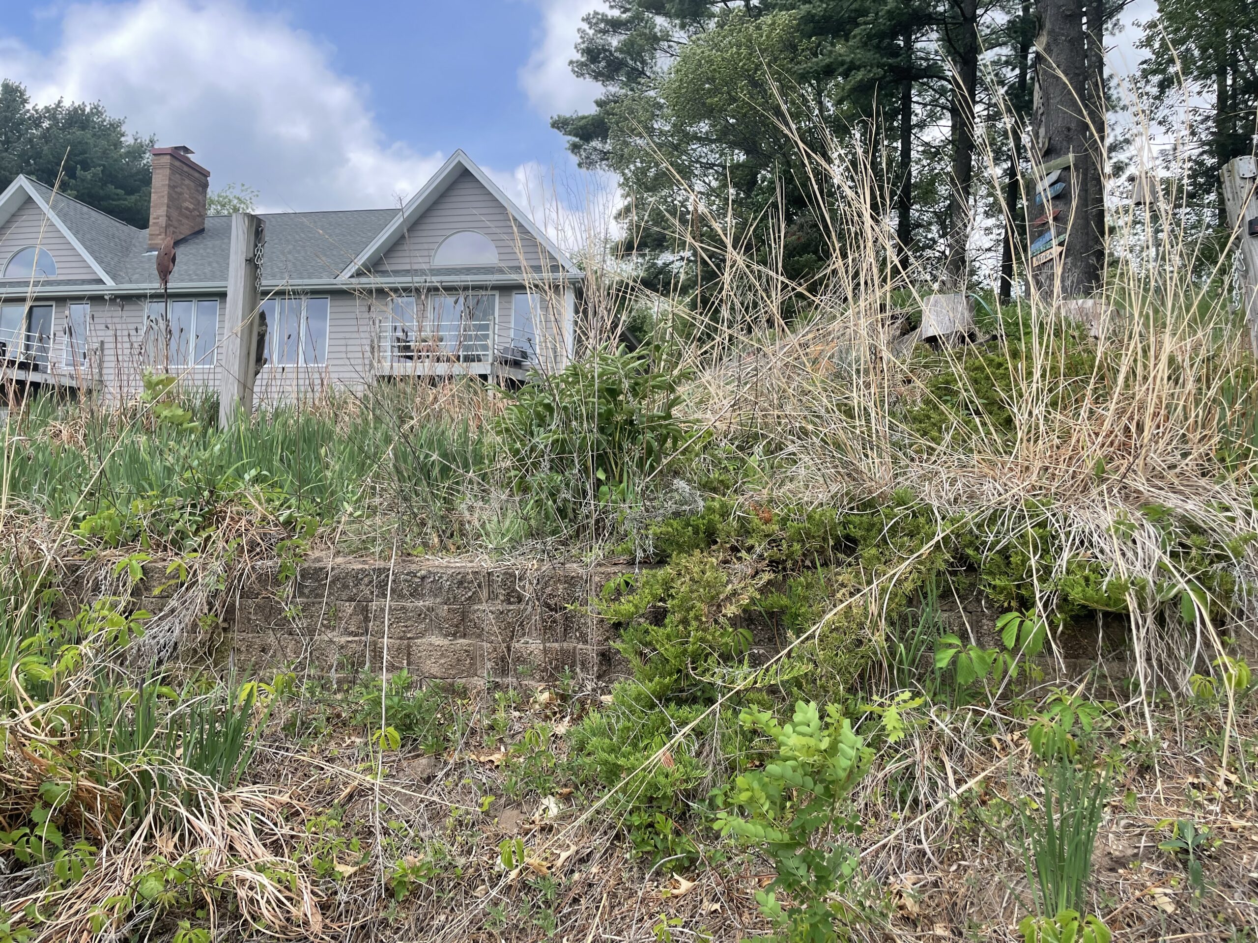 Before landscaping