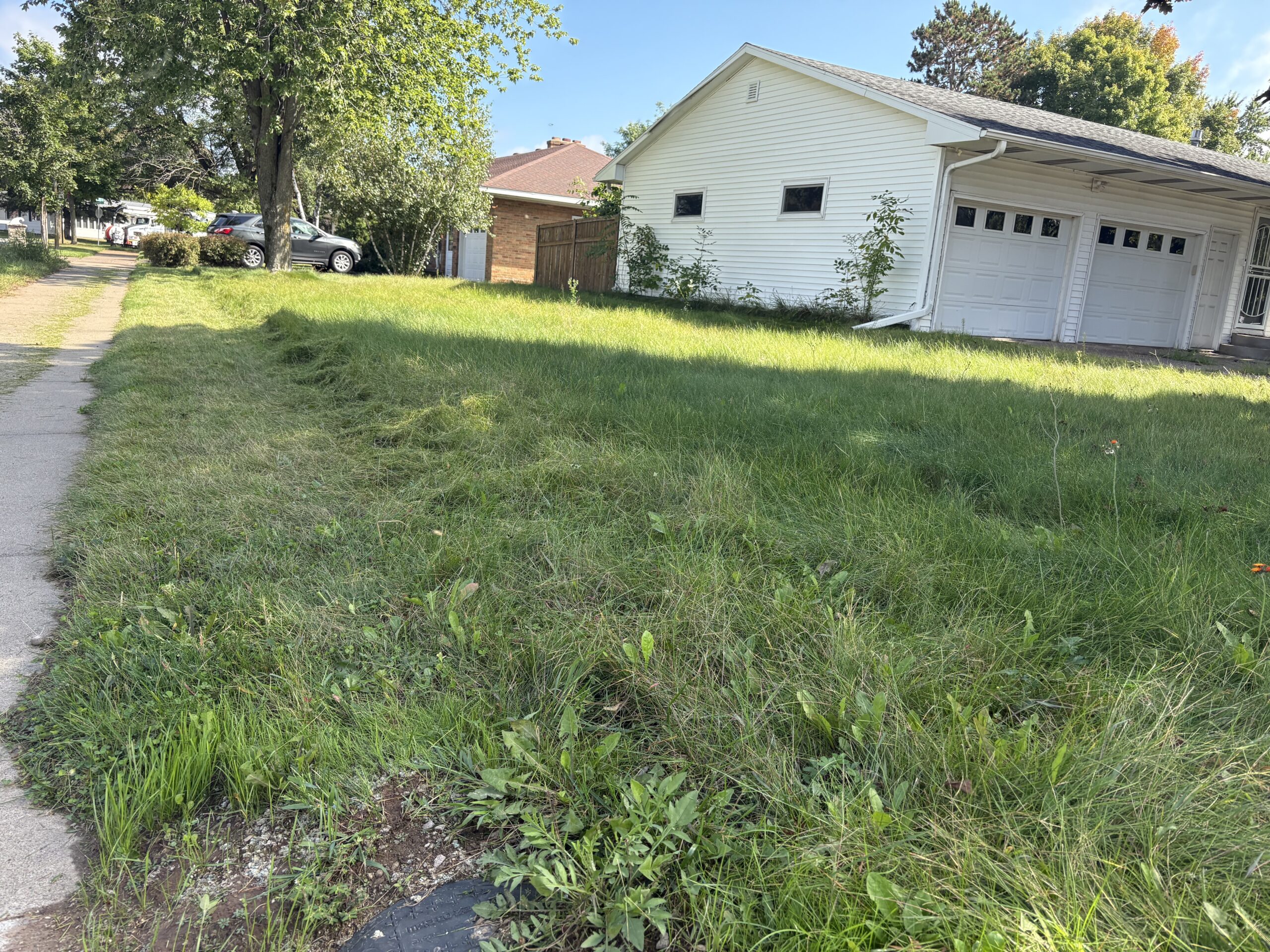 Before lawn mowing