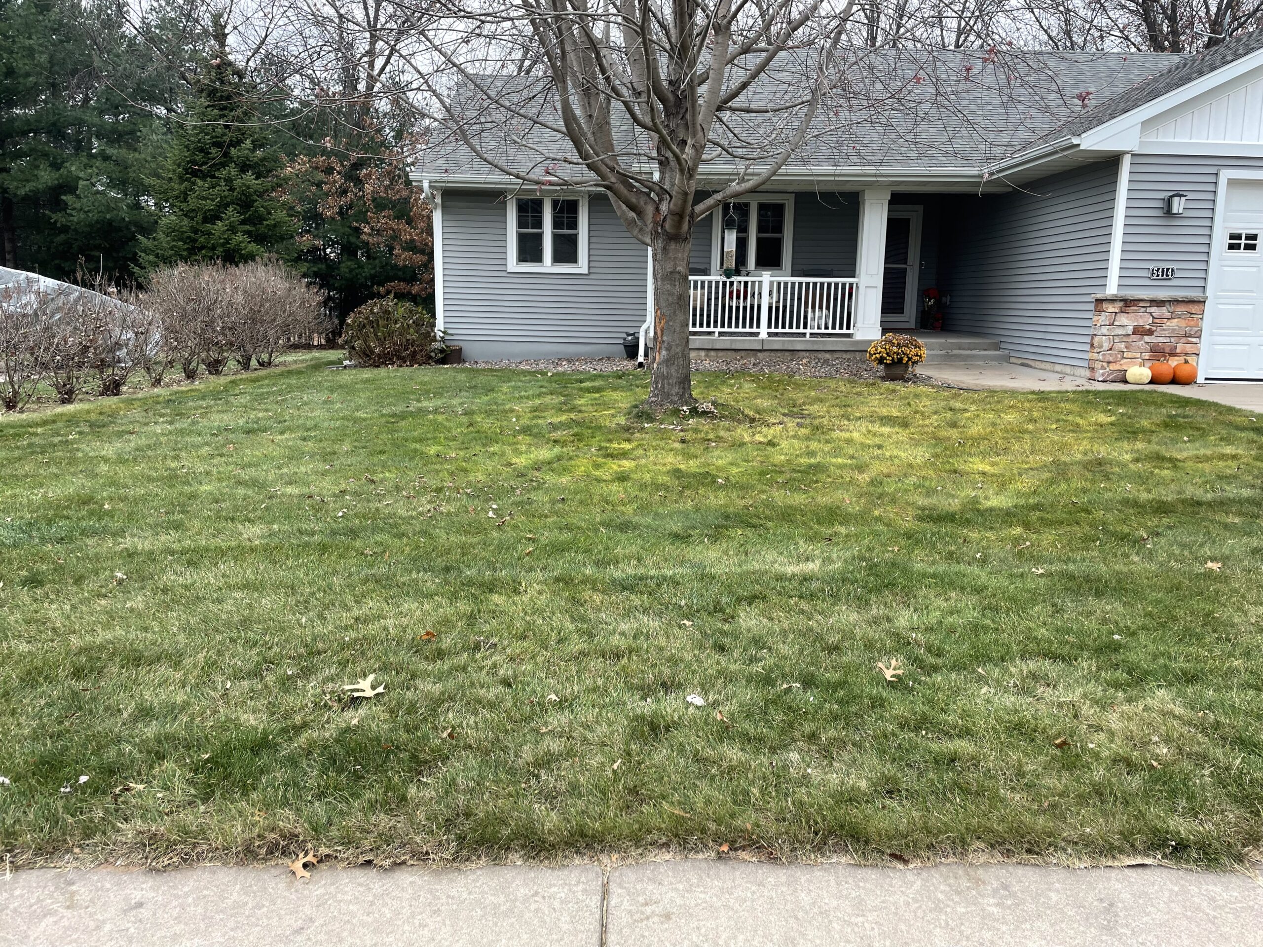 After leaf cleanup