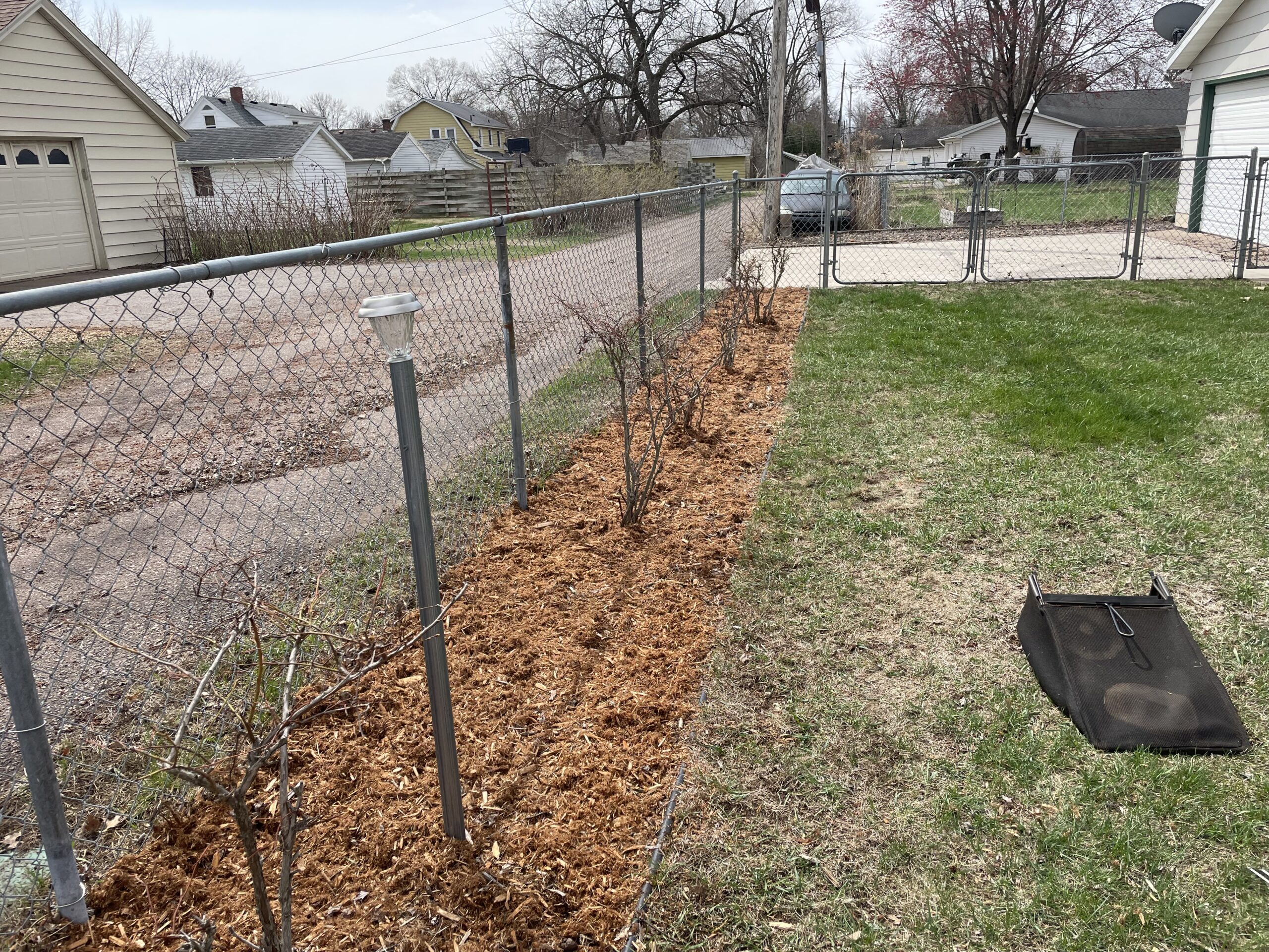 After mulching