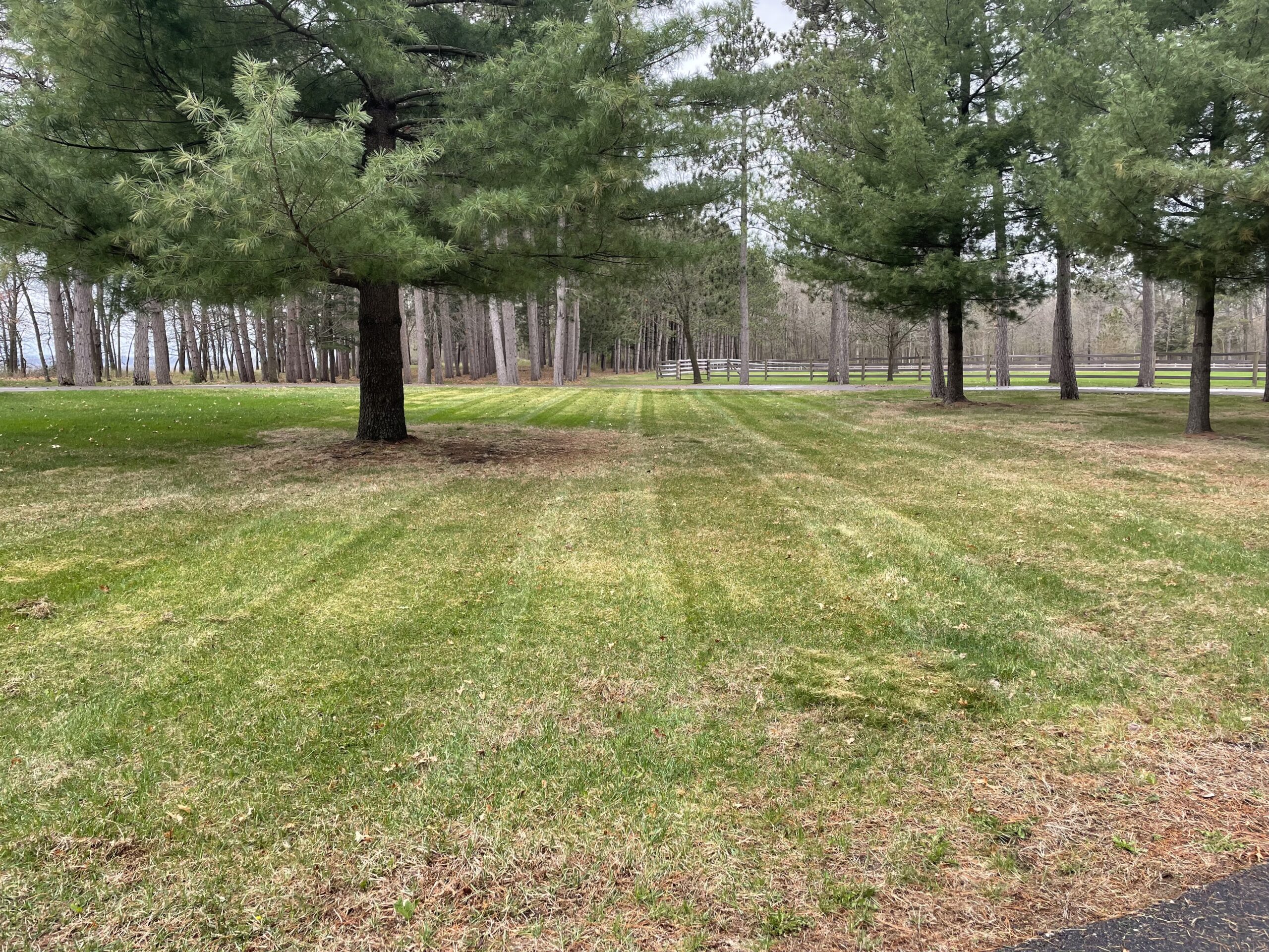 Fresh cleaned lawn